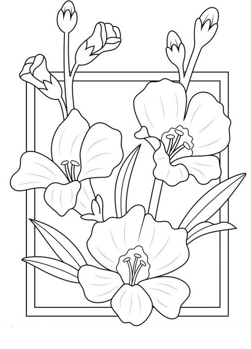 Coloring Pages - Free flower coloring pages