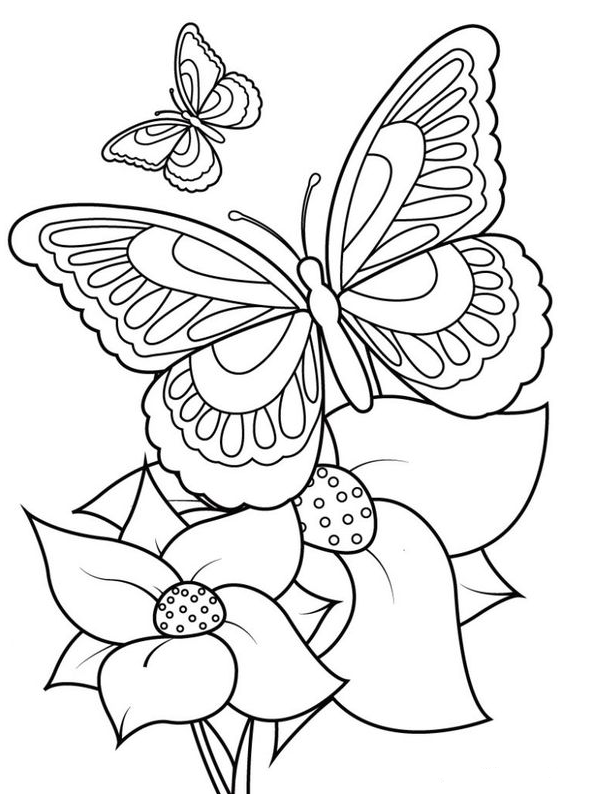 Coloring Pages - Printable Butterfly Coloring Pages For Kids