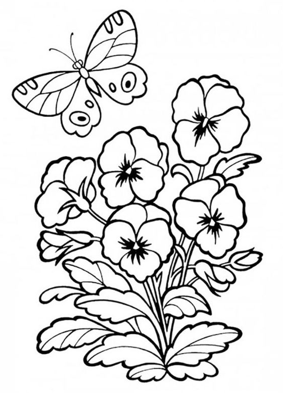 Coloring Pages - Printable flower coloring pages free