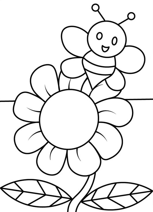 Coloring Pages - Printable flower coloring pages