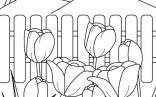 Coloring Pages   Spring Coloring Pages