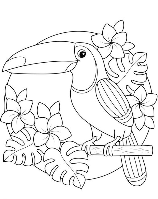 Coloring Pages - Summer Toucan Printable Coloring