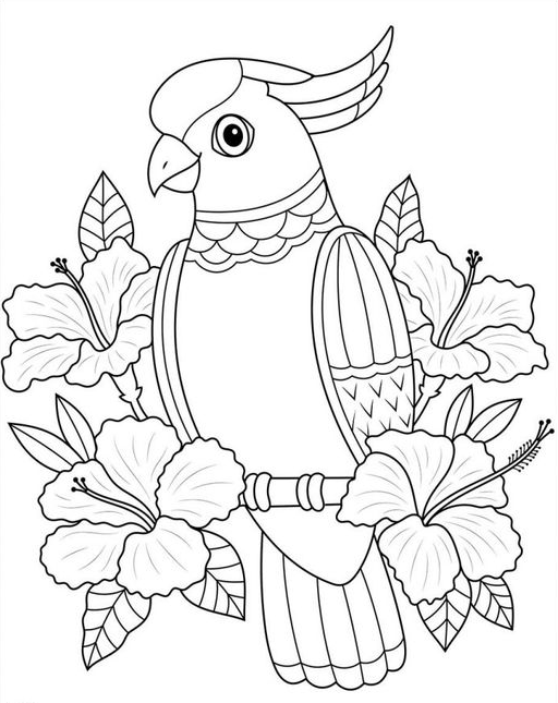 Coloring Pages - Tropical Adult Coloring Free
