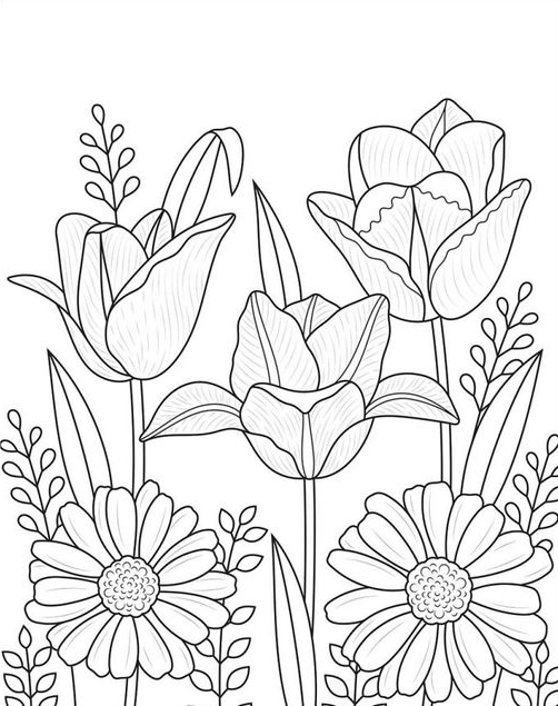 Coloring S   Tulips Adult Coloring