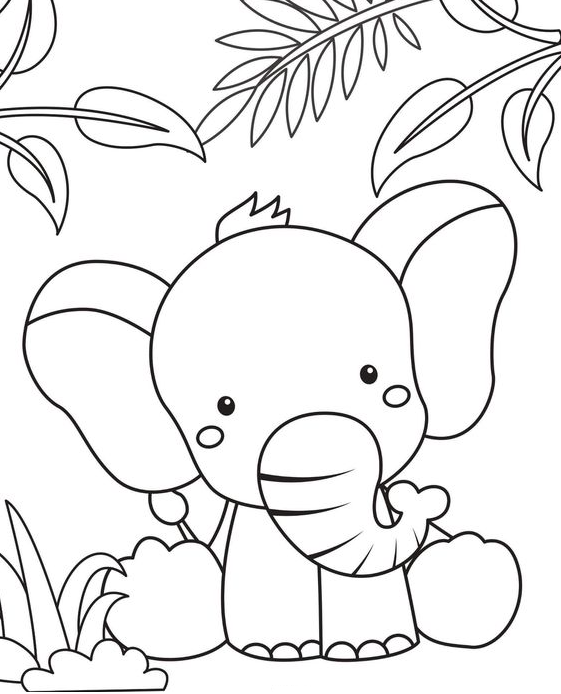 Colouring  For Kids   Free Printable Elephant Coloring