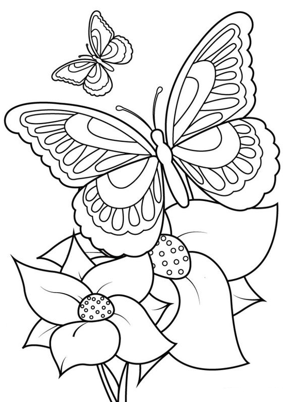Flower Butterfly Coloring