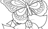 Printable Butterfly Coloring Pages For Kids