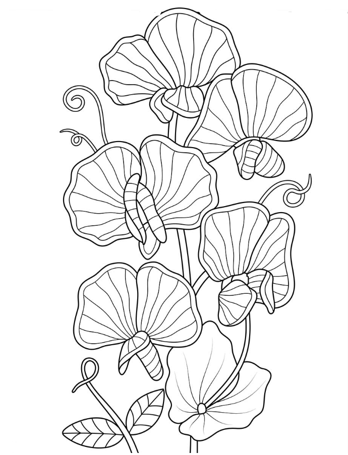 Spring Adult Coloring Pages - Climbing Florals Adult Coloring Page
