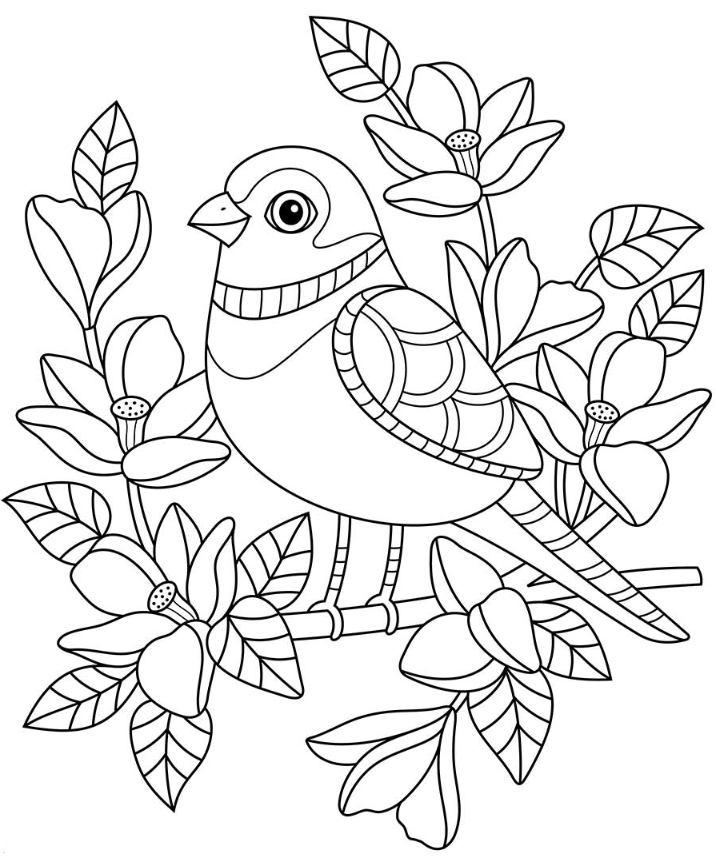 Spring Adult Coloring Pages - Cute Bird Coloring Page