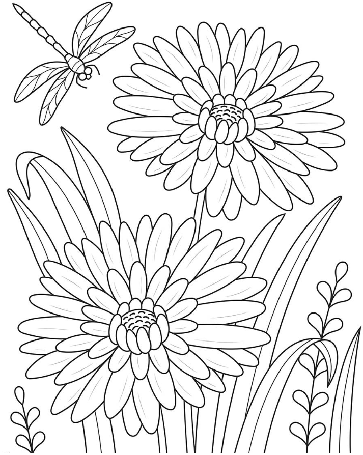 Spring Adult Coloring Pages - Dahlias and Dragonfly Adult Coloring Page