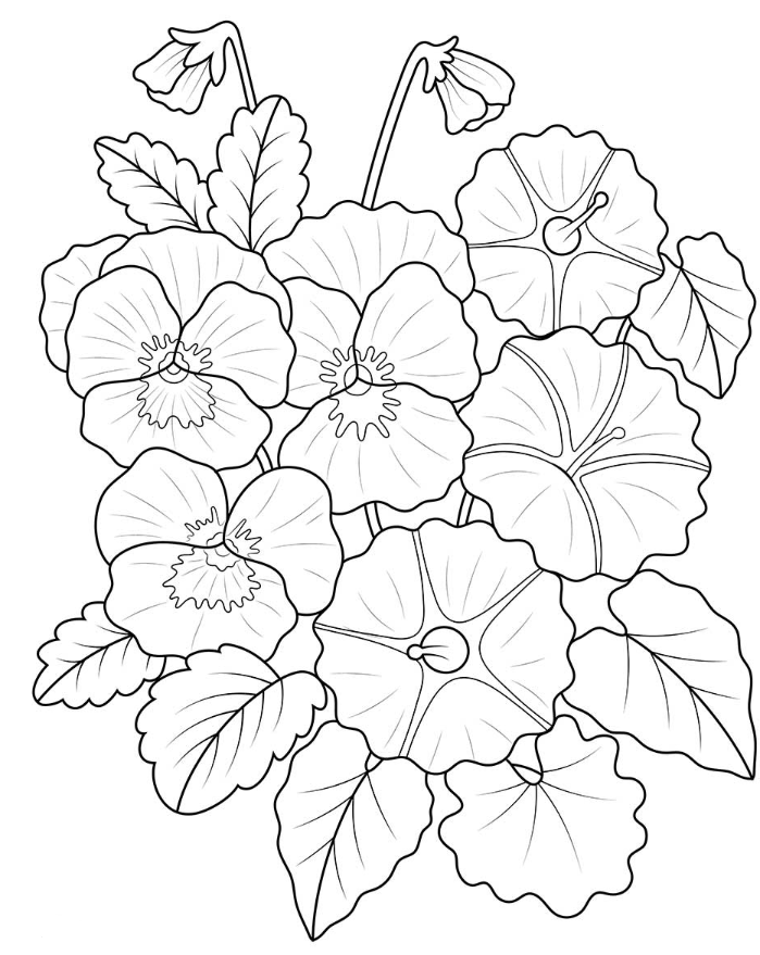 Spring Adult Coloring Pages   Pansy Flowers Adult Coloring