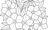 Spring Adult Coloring Pages   Spring Adult Coloring Pages Free