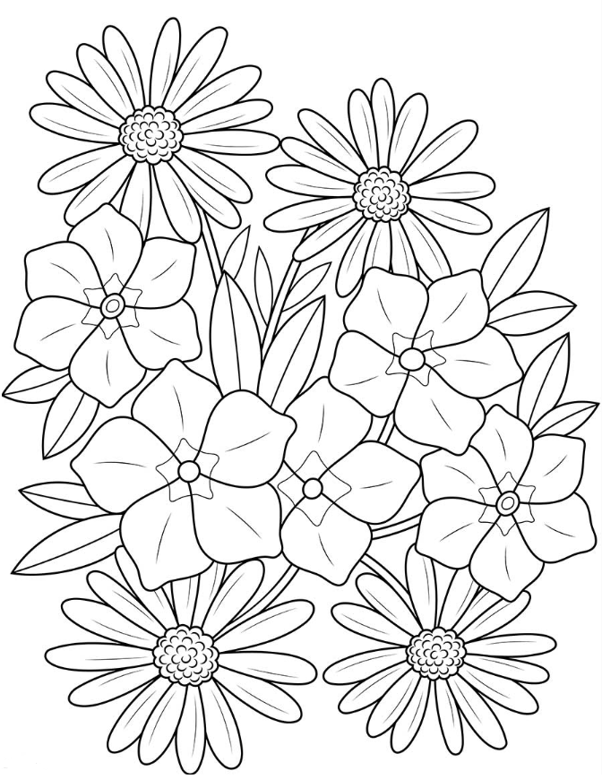 Spring Adult Coloring Pages   Spring Adult Coloring Pages Free