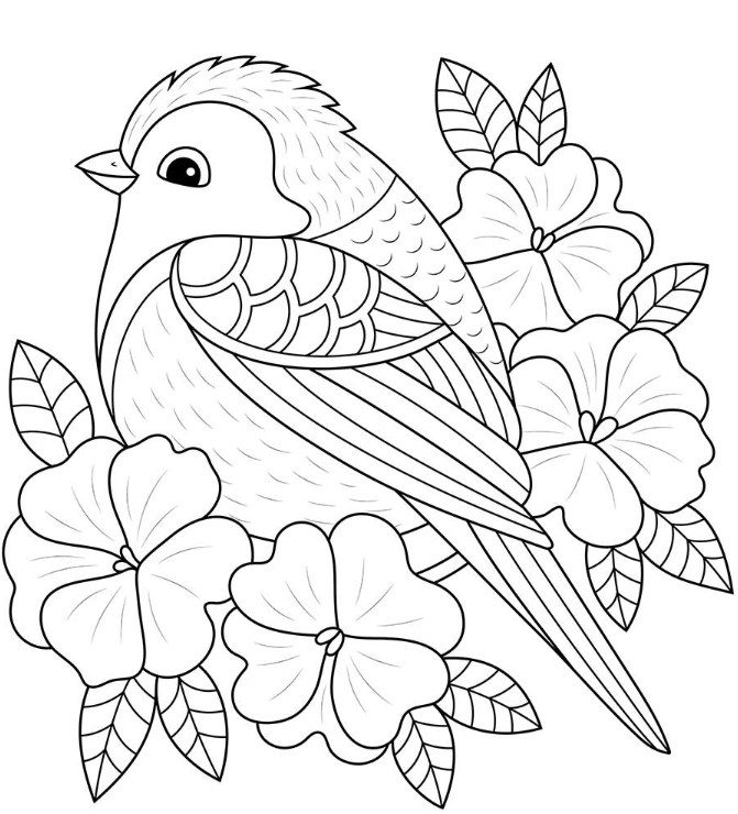 Spring Adult Coloring Pages - Spring Bird and Flowers Coloring for Teens