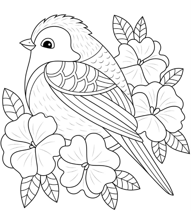 Spring Adult Coloring Pages   Spring Bird And Flowers Coloring For Teens