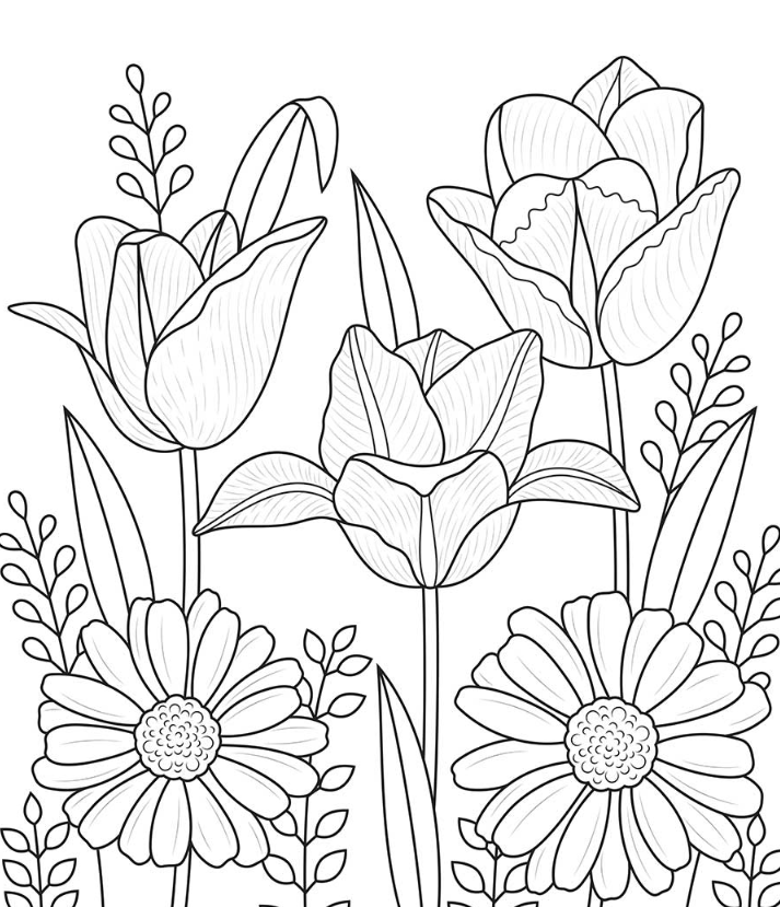 Spring Adult Coloring Pages - Tulips Adult Coloring Page