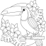 Summer Adult Coloring Pages   Summer Toucan Printable Coloring