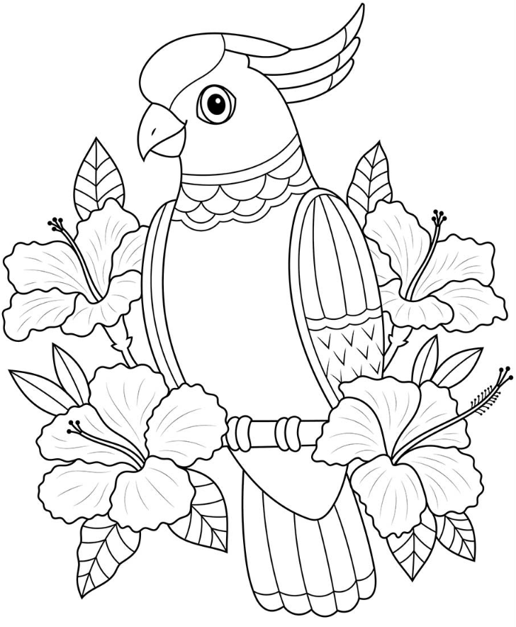 Summer Adult Coloring Pages   Tropical Adult Coloring
