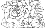 Flower Coloring Pages   Rose Coloring Pages