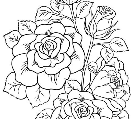 Flower Coloring Pages   Rose Coloring Pages