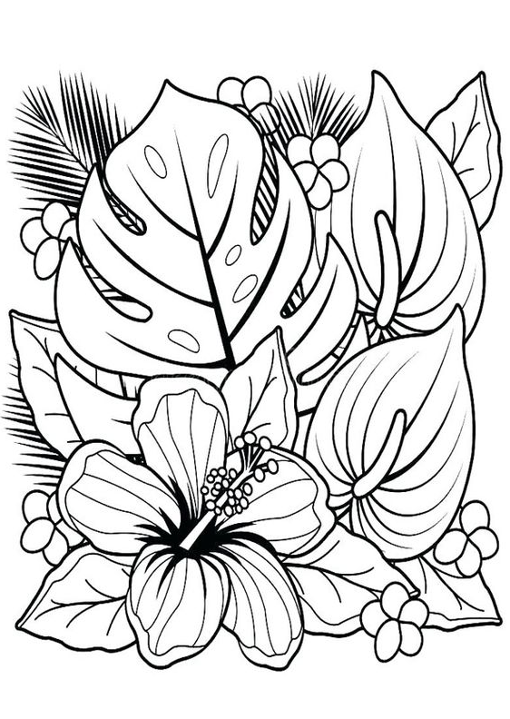 Adult Coloring Pages - Coloring Page of Flowers for Adult