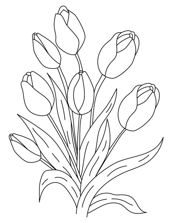Coloring Book Art - Free Coloring Pages for Teens