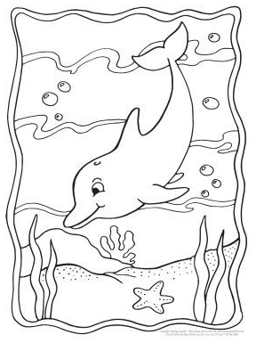 Dophin Coloring Pages - Dolphin coloring pages for grown ups