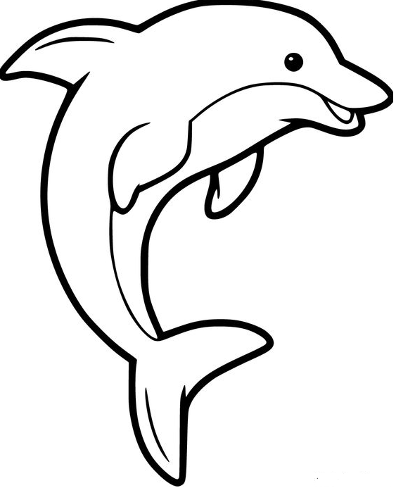 Dophin Coloring Pages   Free Dolphin Coloring