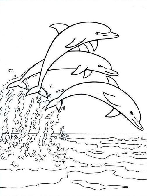 Dophin Coloring Pages   Mammals Book Two Coloring Pages Animal Coloring Pages