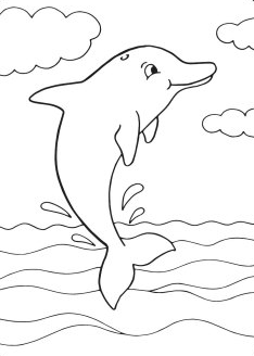 Dophin Coloring Pages   Wonderful Dolphin Coloring