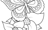 Coloring Pages Free Printable   Printable Butterfly Coloring Pages For Kids