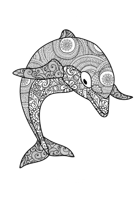 Dolphin Art - Dolphin Coloring Book For Adults