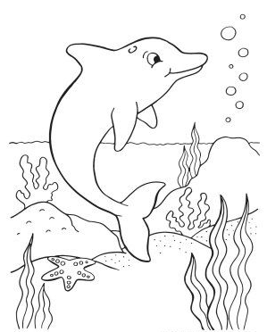 Dolphin Art - Dolphin Coloring Page cute
