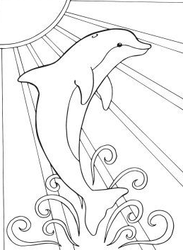 Dolphin Art - Dolphin Coloring Pages cute