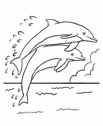 Dolphin Art - Dolphin Coloring Pages