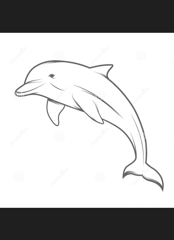 Dolphin Art - Dolphin illustration stock vector