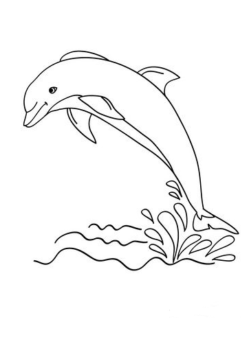 Dolphin Art - Dolphin out coloring pages
