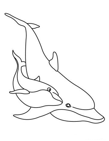 Dolphin Art - Dolphins coloring pages
