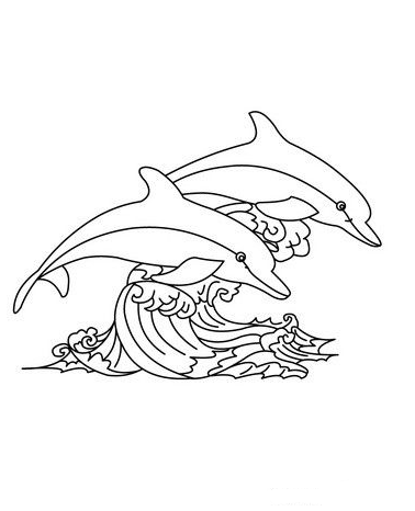 Dolphin Art - Dolphins online coloring pages