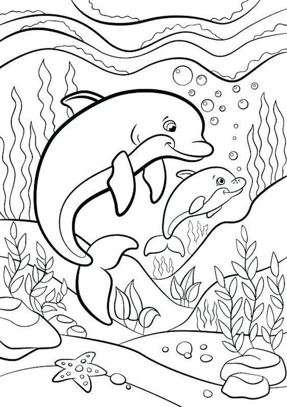 Dolphin Art - Free & Easy To Print Dolphin Coloring Pages