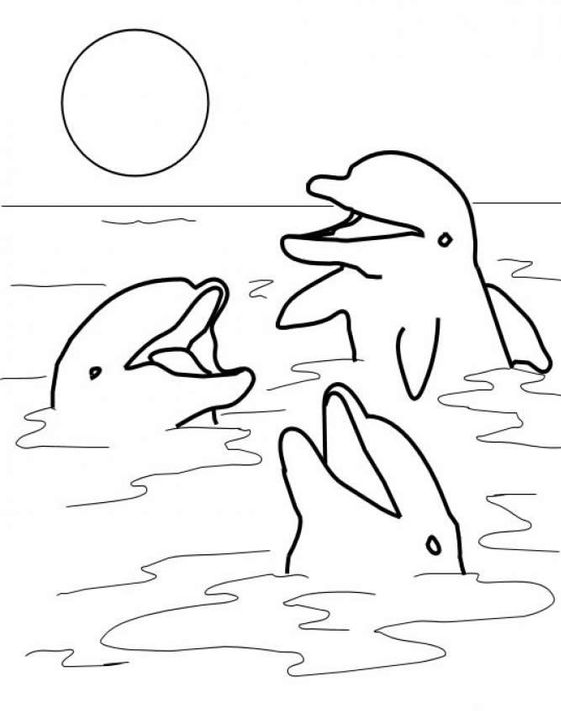 Dolphin Art - Free Printable Dolphin Coloring Pages For Kids