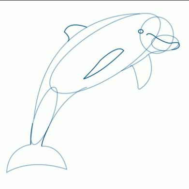 Dolphin Art   How To Draw A Dolphin