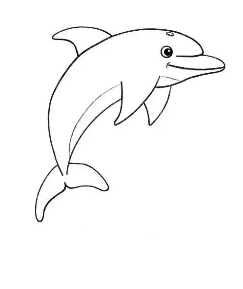 Dolphin Art - How to Draw a Dolphin A Simple Step-by-Step Drawing
