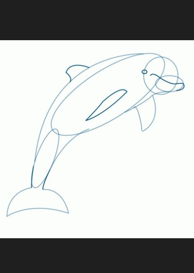 Dolphin Art - How to Draw a Dolphin