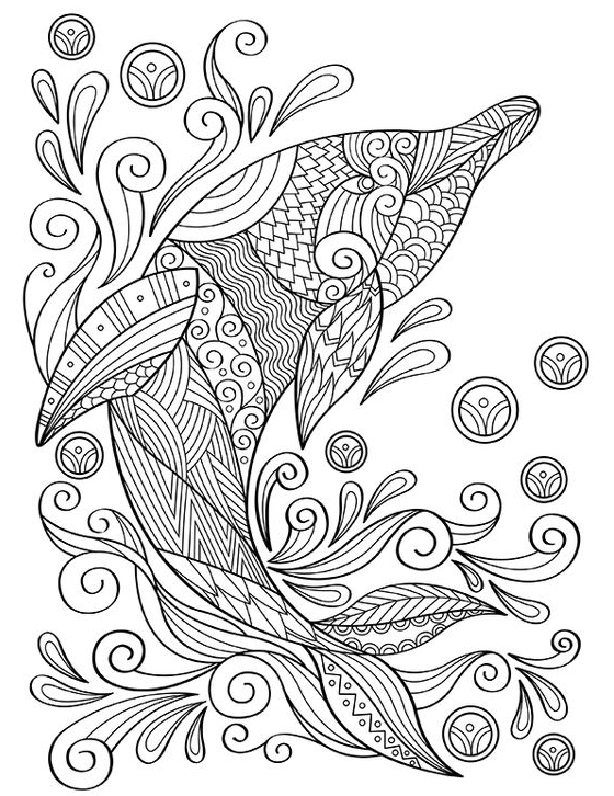 Dolphin Art - Printable Dolphin Mandala Adult Coloring Page