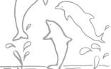 Dolphin Art   Three Dolphins Coloring Pages