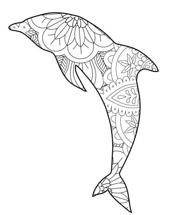 Dolphin Drawing - Animal Mandala Coloring Pages