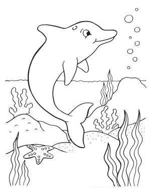 Dolphin Drawing - Dolphin Coloring Pages