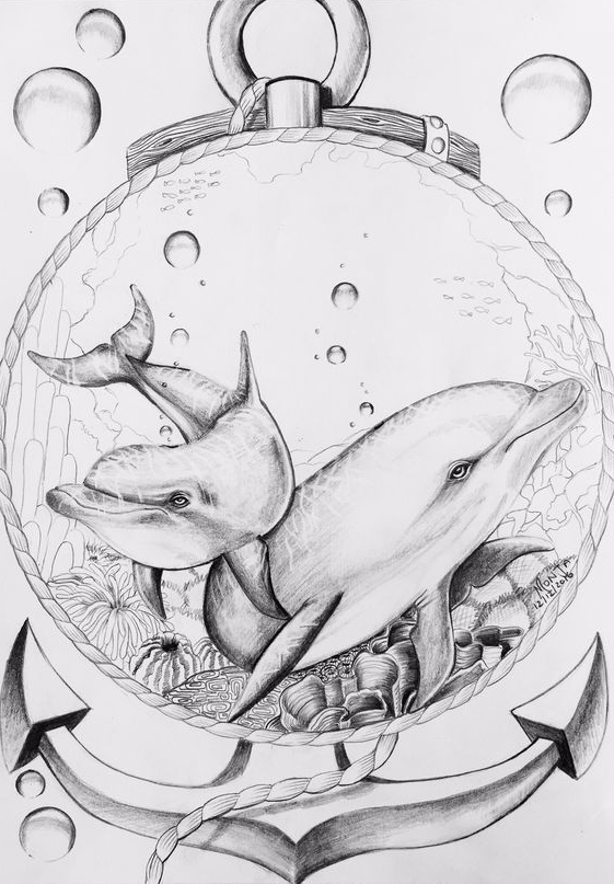 Dolphin Drawing - Dolphin art Animal coloring pages