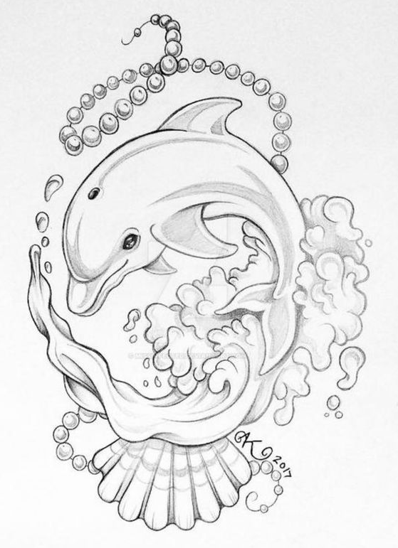 Dolphin Drawing - Dolphin art dolphin coloring pages